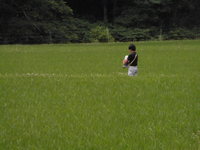 CIMG1962.JPG
