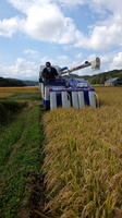 稲刈りIMG_20150921_104954.jpg