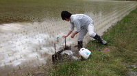 IMG_20150526_103158エーワン.jpg