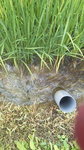 2013072609010000.jpg